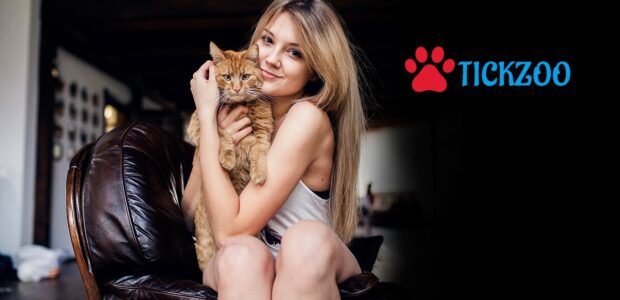 Tickzoo Alternative Die besten Optionen im Vergleich